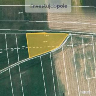 Prodej zemědělské půdy 1924 m² Homole