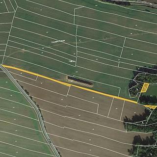 Prodej lesa 464 m² Mladotice