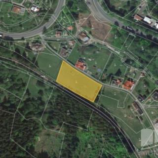 Prodej louky 3 316 m² Desná II, U Trati