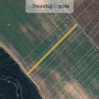 Prodej zemědělské půdy 1444 m² Kostice