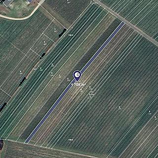 Prodej zemědělské půdy 1 708 m² Velké Pavlovice