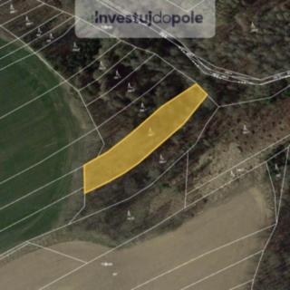 Prodej lesa 2751 m² Habry