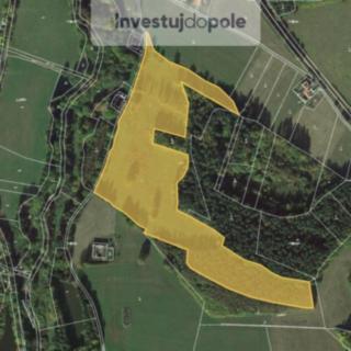 Prodej ostatního pozemku 54 200 m² Dvory nad Lužnicí