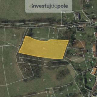 Prodej louky 5 053 m² Hrejkovice Níkovice