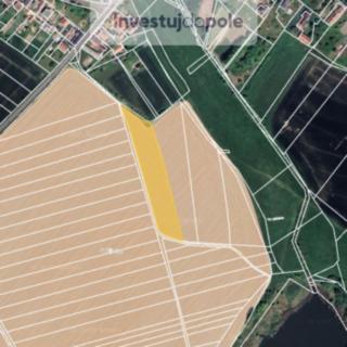 Prodej podílu zemědělské půdy 1682 m² Babice