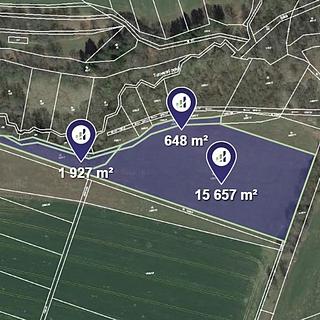 Prodej louky 1 148 m² Radenín