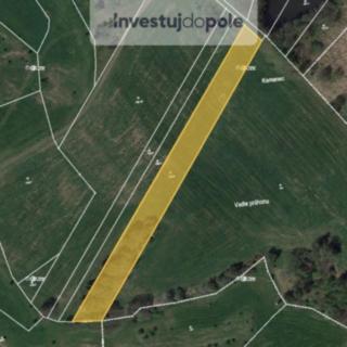 Prodej louky 1 966 m² Chlumec nad Cidlinou Pamětník