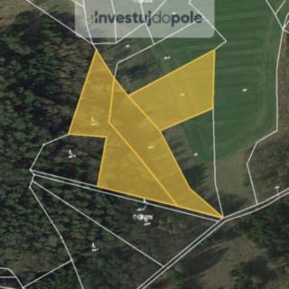 Prodej lesa 2 460 m² Hrazany Klisinec