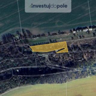 Prodej zemědělské půdy 2 087 m² Třebichovice Saky