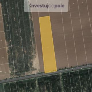 Prodej zemědělské půdy 18561 m² Jeneč