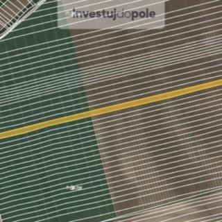 Prodej zemědělské půdy 11743 m² Čejkovice