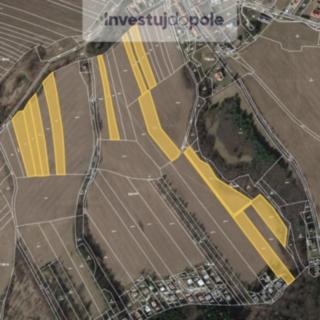 Prodej zemědělské půdy 29146 m² Roštín