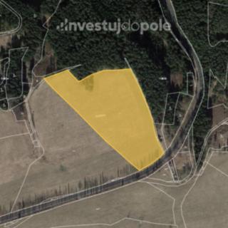 Prodej zemědělské půdy 37 178 m² Toužim Kojšovice