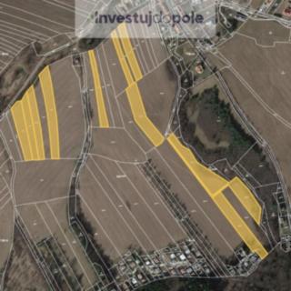 Prodej zemědělské půdy 29 146 m² Roštín