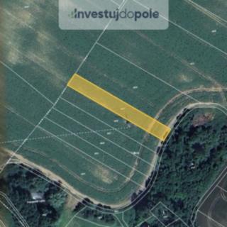 Prodej zemědělské půdy 1 906 m² Ořechov