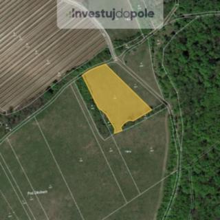 Prodej louky 5 123 m² Horní Věstonice