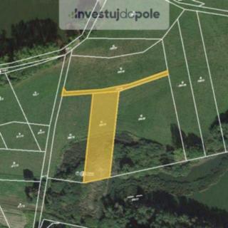 Prodej louky 2378 m² Chanovice