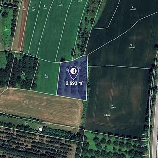 Prodej zemědělské půdy 2 693 m² Lhenice
