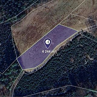 Prodej louky 4244 m&sup2; Úbislavice