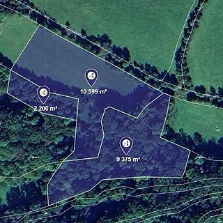 Prodej louky 22174 m&sup2; Homole u Panny