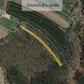Prodej lesa 1395 m² Boskovice