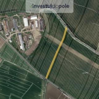 Prodej zemědělské půdy 3757 m² Borkovany