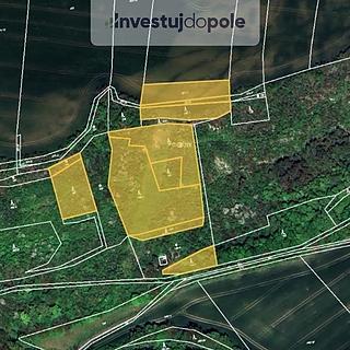 Prodej lesa 3 124 m² Budyně nad Ohří Břežany nad Ohří