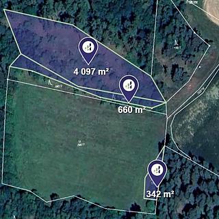 Prodej lesa 5 099 m² Čepřovice