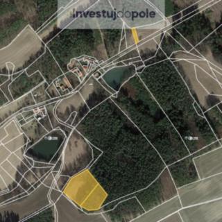 Prodej louky 8 722 m² Neveklov Bělice