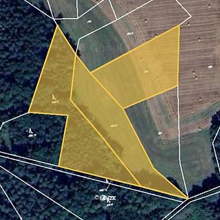 Prodej lesa 7381 m² Hrazany