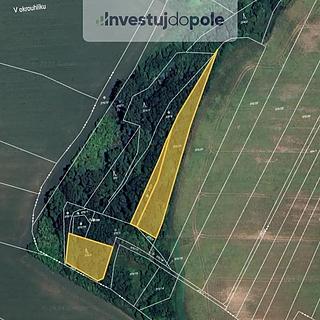 Prodej zemědělské půdy 3 546 m² Plaňany