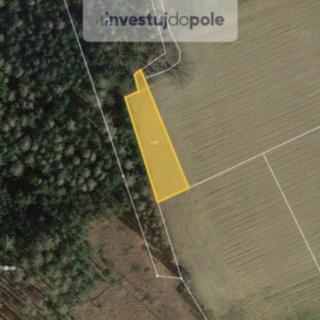 Prodej zemědělské půdy 549 m² Pravonín Karhule