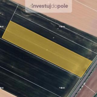 Prodej zemědělské půdy 17 343 m² Podůlšany