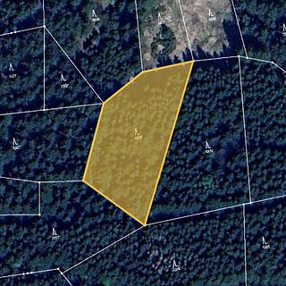 Prodej lesa 600 m² Kasejovice