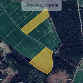 Prodej podílu zemědělské půdy 3259 m² Jeřišno