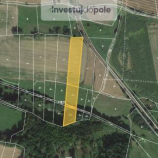 Prodej zemědělské půdy 6870 m² Mileč
