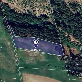 Prodej lesa 3492 m&sup2; Čistá u Horek