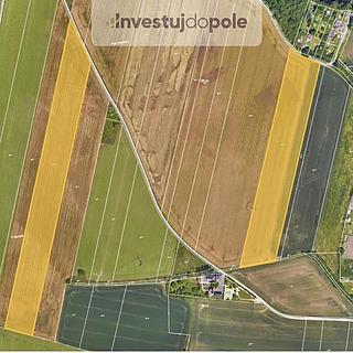 Prodej zemědělské půdy 3943 m² Plzeň