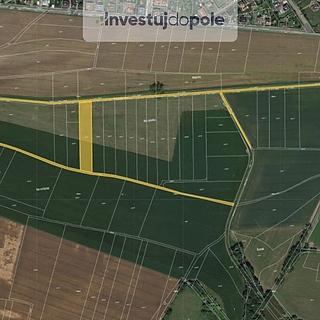 Prodej zemědělské půdy 3 602 m² Rasošky Dolní Ples t. Vodní Ples