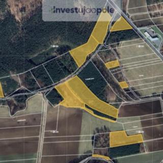 Prodej lesa 110 651 m² Oseček