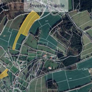 Prodej zemědělské půdy 34 224 m² Kaliště Podivice