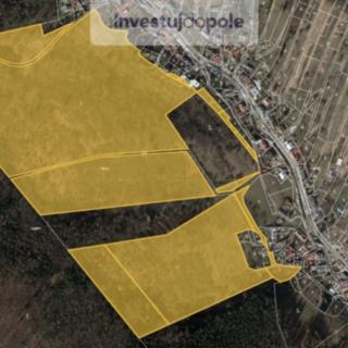 Prodej louky 1 777 m² Jankovice