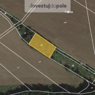 Prodej ostatního pozemku 1 558 m² Přeštice