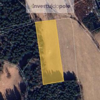 Prodej louky 6 599 m² Lučany nad Nisou