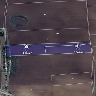 Prodej zemědělské půdy 8 150 m² Černíky