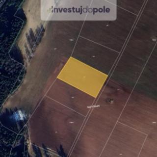 Prodej zemědělské půdy 2642 m² Nová Ves nad Popelkou
