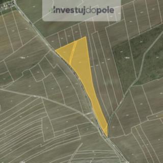 Prodej zemědělské půdy 5 637 m² Kralovice
