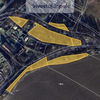 Prodej zahrady 4 113 m² Planá Kříženec