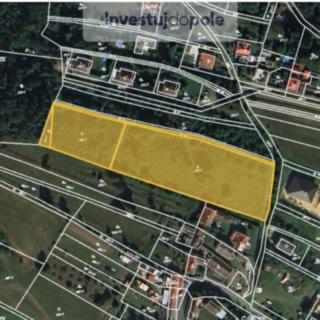 Prodej podílu louky 3638 m² Pavlíkov