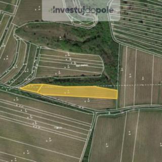 Prodej ostatního pozemku 747 m² Dolní Věstonice